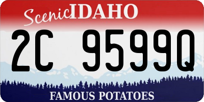 ID license plate 2C9599Q