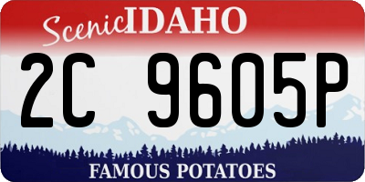ID license plate 2C9605P