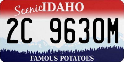 ID license plate 2C9630M