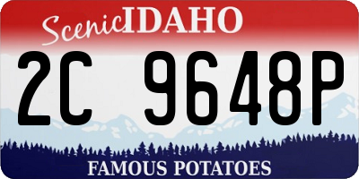 ID license plate 2C9648P