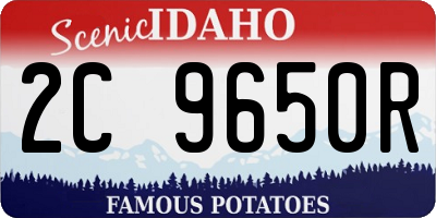 ID license plate 2C9650R