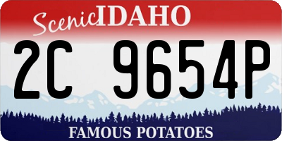 ID license plate 2C9654P