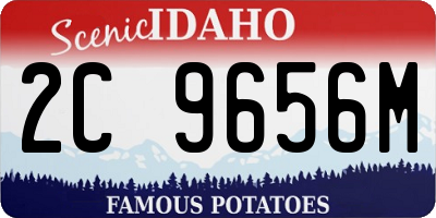 ID license plate 2C9656M