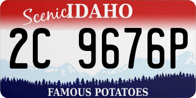 ID license plate 2C9676P