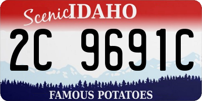 ID license plate 2C9691C