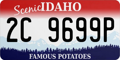 ID license plate 2C9699P