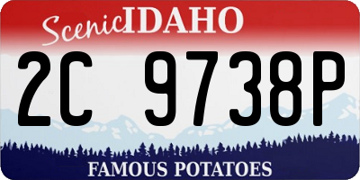 ID license plate 2C9738P