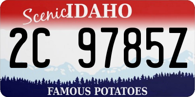 ID license plate 2C9785Z