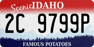 ID license plate 2C9799P