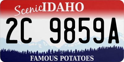 ID license plate 2C9859A