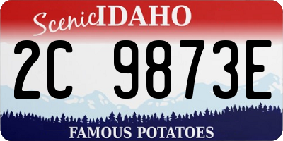 ID license plate 2C9873E