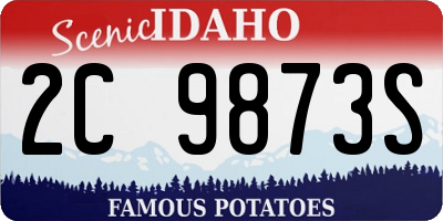 ID license plate 2C9873S