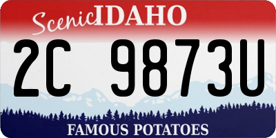 ID license plate 2C9873U