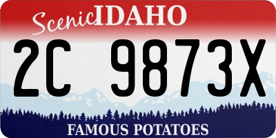 ID license plate 2C9873X