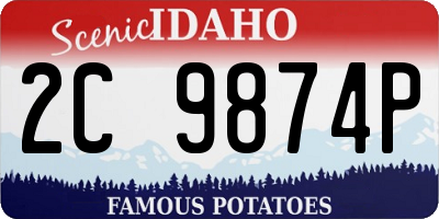 ID license plate 2C9874P