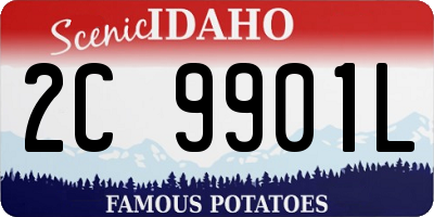 ID license plate 2C9901L