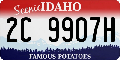 ID license plate 2C9907H