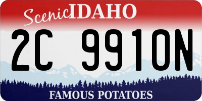 ID license plate 2C9910N