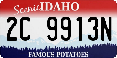 ID license plate 2C9913N