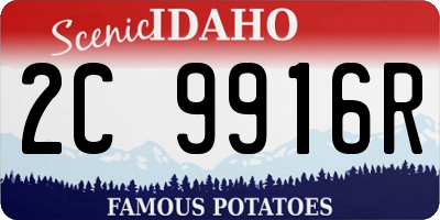 ID license plate 2C9916R