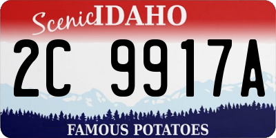 ID license plate 2C9917A