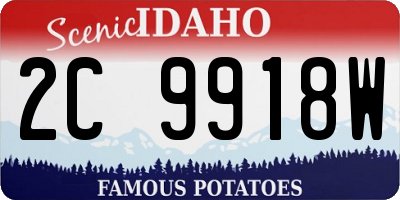 ID license plate 2C9918W