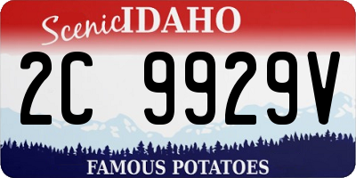 ID license plate 2C9929V