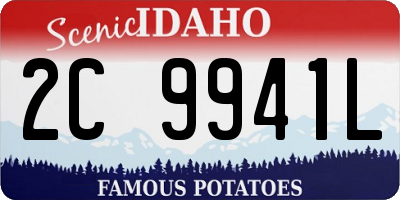ID license plate 2C9941L