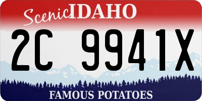 ID license plate 2C9941X