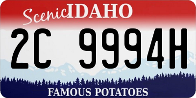 ID license plate 2C9994H