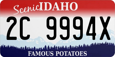 ID license plate 2C9994X
