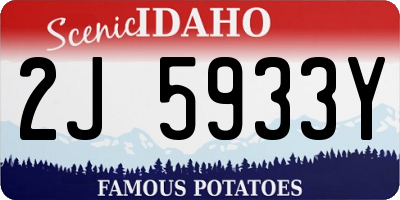 ID license plate 2J5933Y
