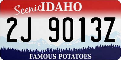 ID license plate 2J9013Z