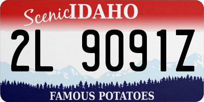 ID license plate 2L9091Z