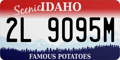 ID license plate 2L9095M