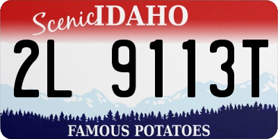 ID license plate 2L9113T