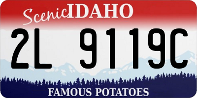 ID license plate 2L9119C