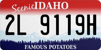 ID license plate 2L9119H