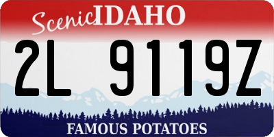 ID license plate 2L9119Z