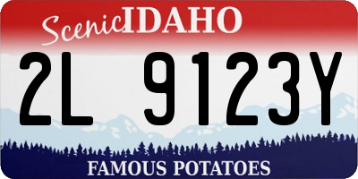 ID license plate 2L9123Y