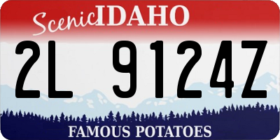 ID license plate 2L9124Z