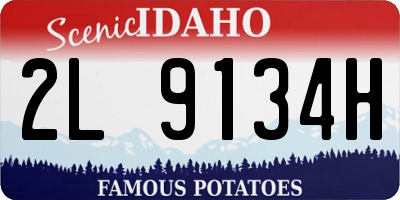 ID license plate 2L9134H
