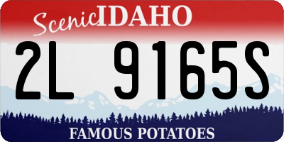 ID license plate 2L9165S