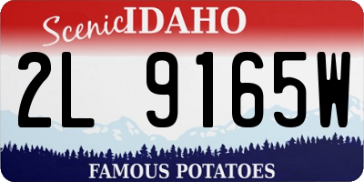 ID license plate 2L9165W