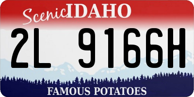 ID license plate 2L9166H