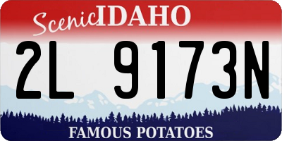 ID license plate 2L9173N
