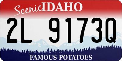 ID license plate 2L9173Q