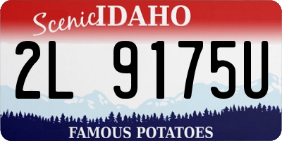 ID license plate 2L9175U