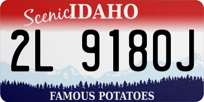 ID license plate 2L9180J