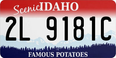ID license plate 2L9181C